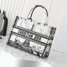 Christian Dior Shopping Bags